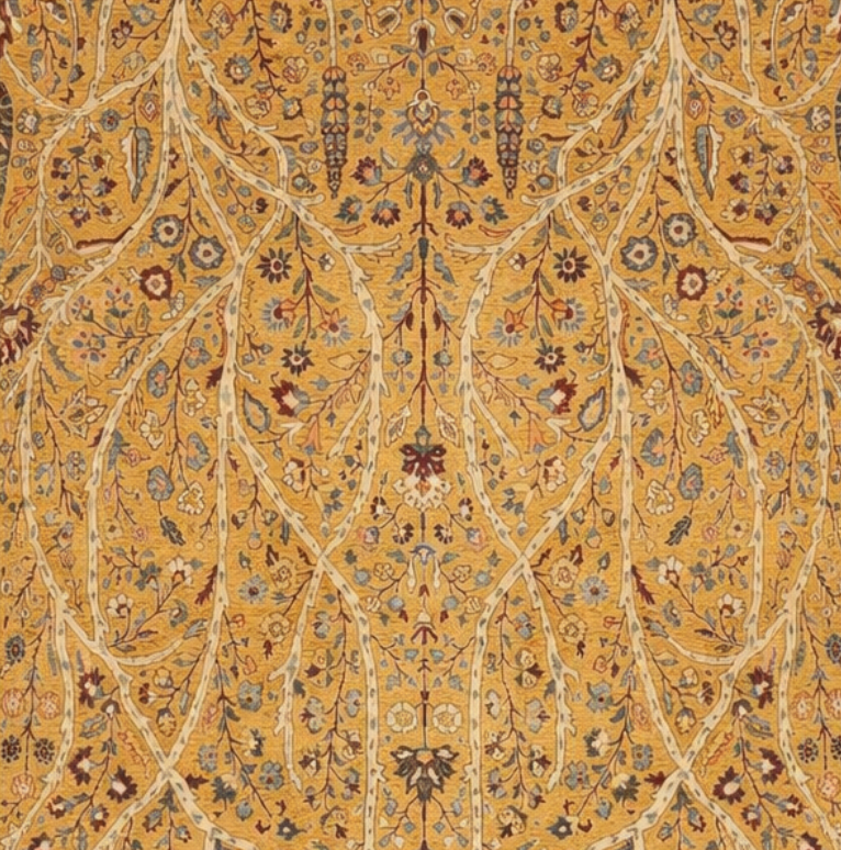 Orlina - Aurelia